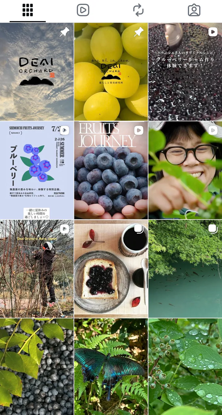 ブルーベリーや農園風景が並ぶDeai OrchardのInstagramフィード