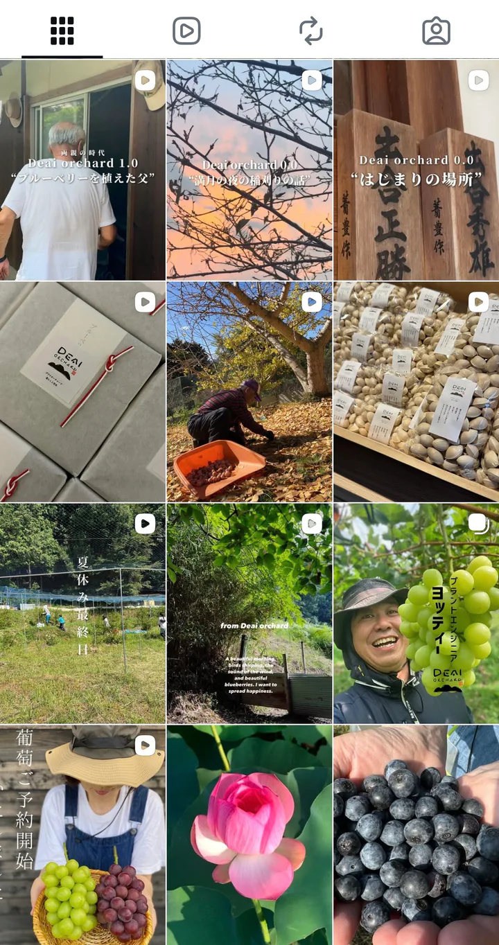 農作業や果実の投稿が並ぶDeai OrchardのInstagramフィード
